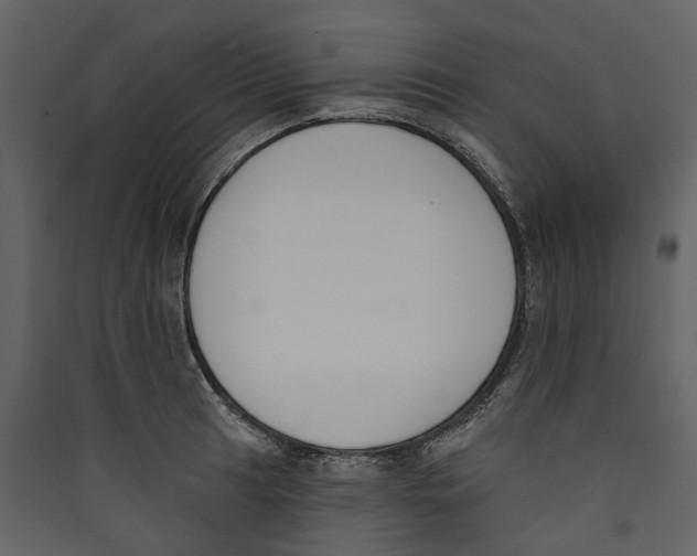 X0000089391041200707131715