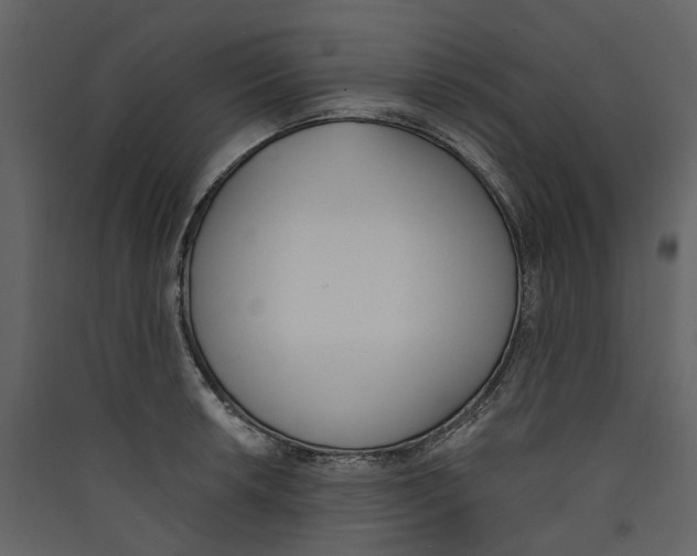 X0000089391042200707131715