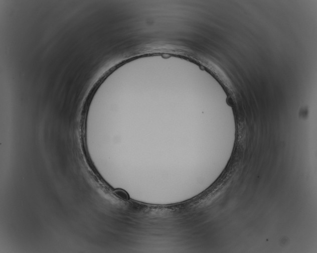 X0000089391043200707131715