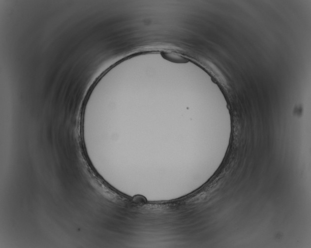 X0000089391044200707131715