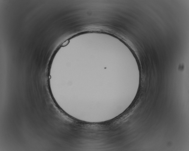 X0000089391045200707131715