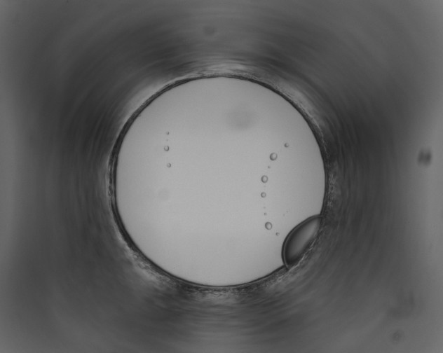 X0000089391047200707131715