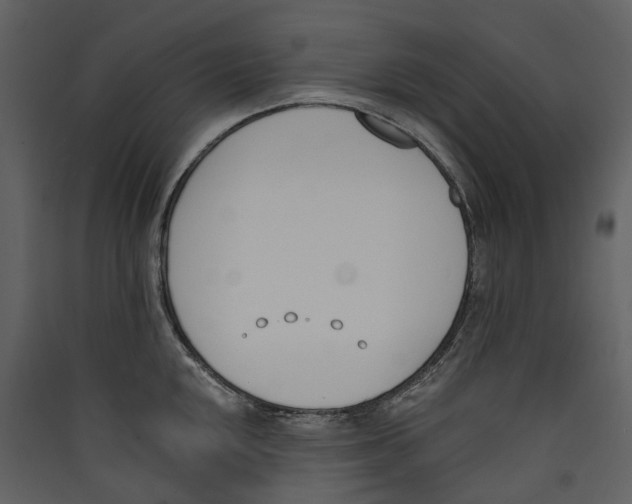 X0000089391048200707131715