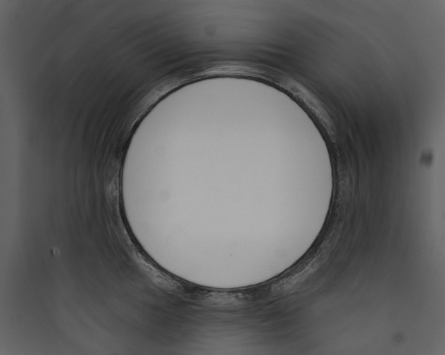 X0000089391049200707131715