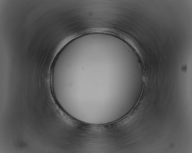 X0000089391050200707131715