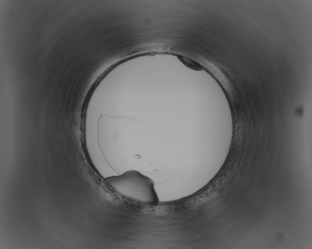X0000089391051200707131715