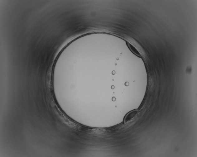 X0000089391052200707131715