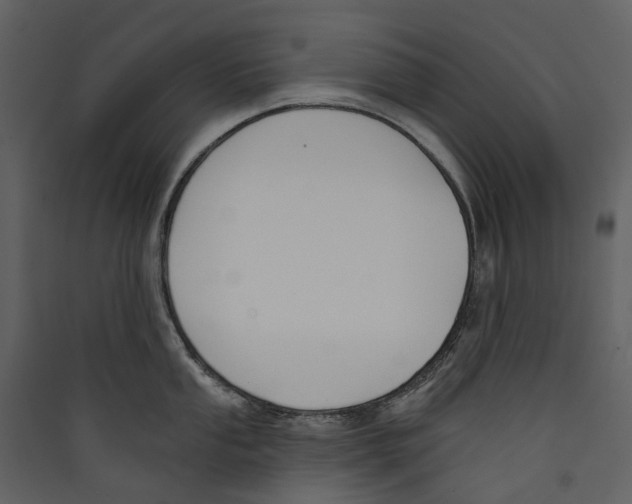 X0000089391053200707131715