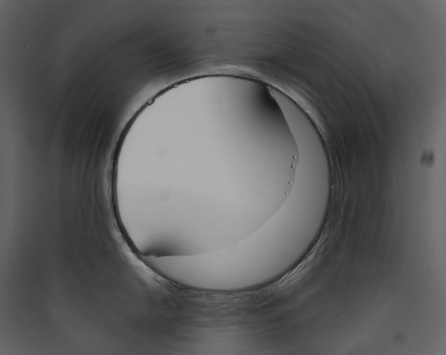 X0000089391054200707131715