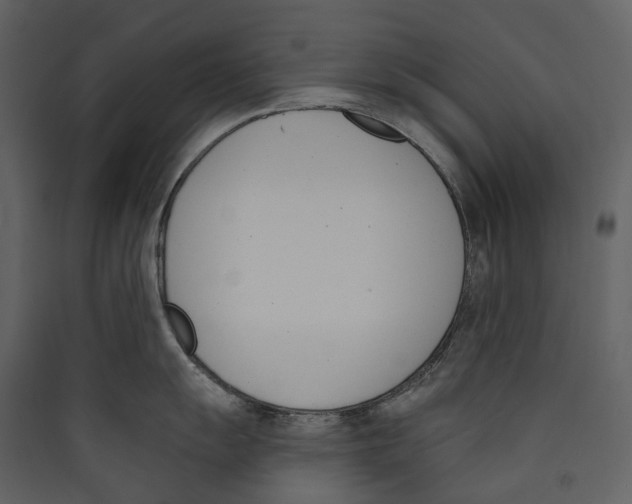 X0000089391055200707131715