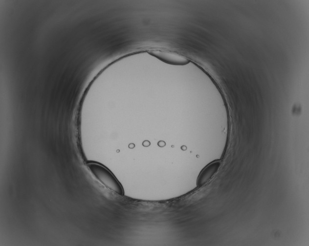X0000089391056200707131715