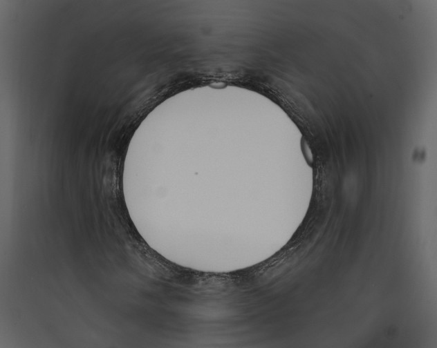 X0000089391058200707131715