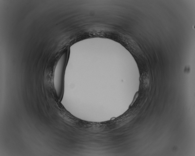 X0000089391060200707131715