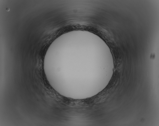 X0000089391061200707131715