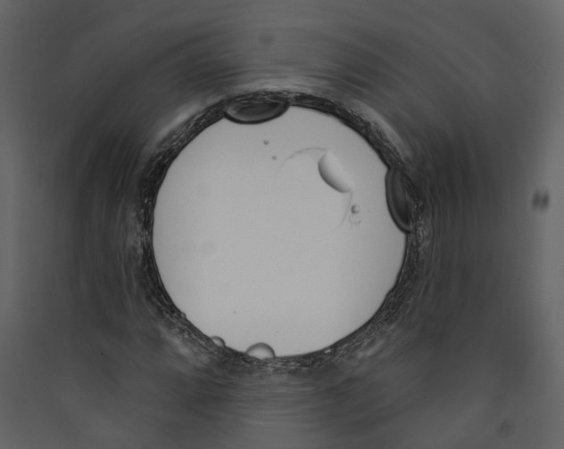 X0000089391064200707131714