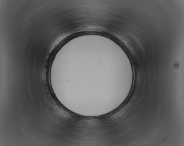 X0000089391066200707131714