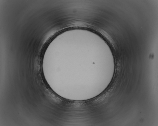 X0000089391067200707131714