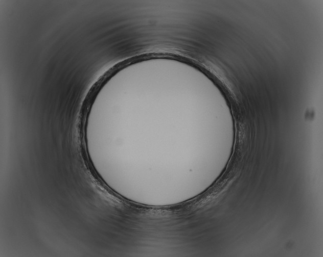 X0000089391068200707131714