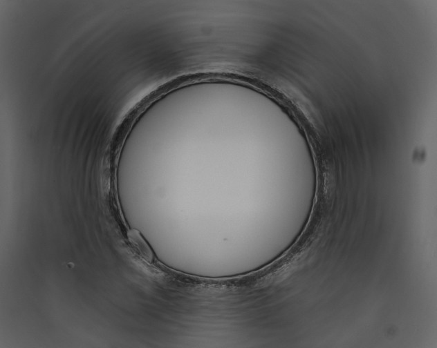 X0000089391069200707131714
