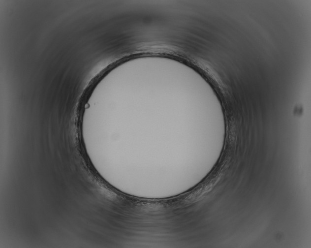 X0000089391071200707131714
