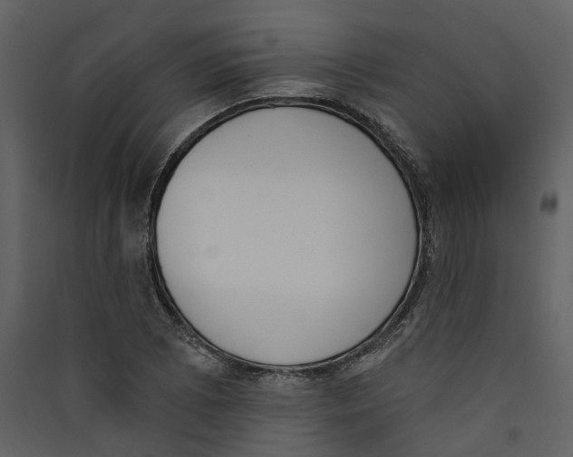 X0000089391073200707131714