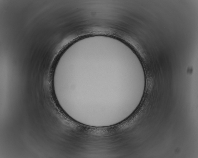 X0000089391074200707131714