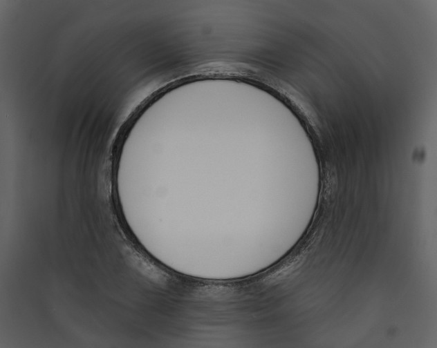 X0000089391075200707131714