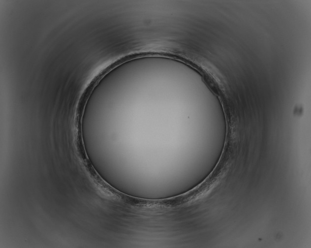 X0000089391077200707131714