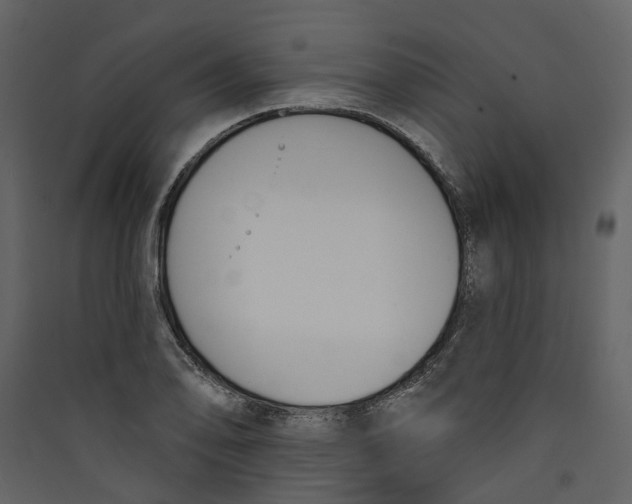 X0000089391078200707131714