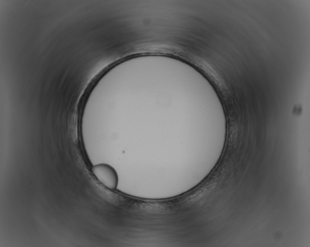 X0000089391079200707131714