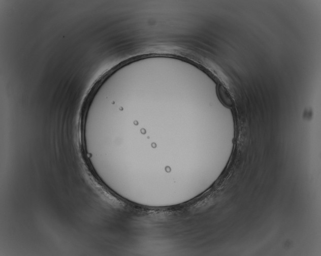 X0000089391080200707131714