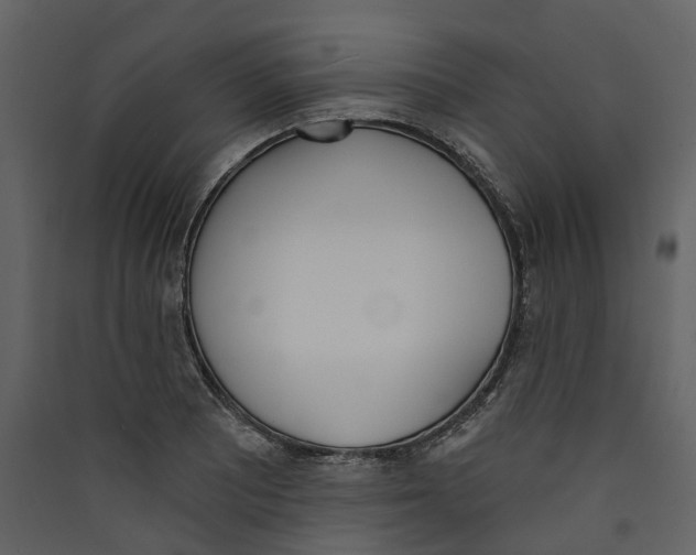 X0000089391081200707131714