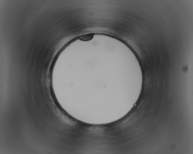 X0000089391082200707131714