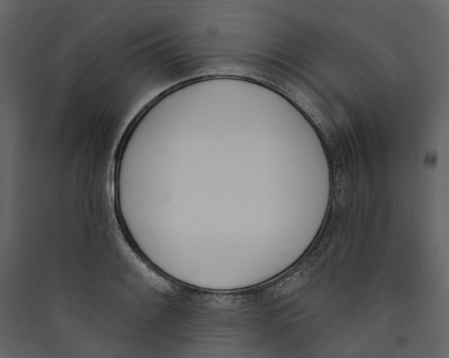 X0000089391084200707131714