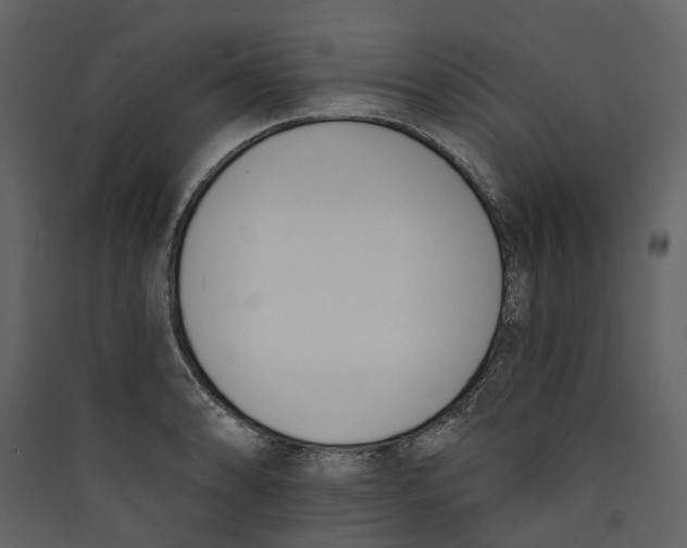 X0000089391086200707131714