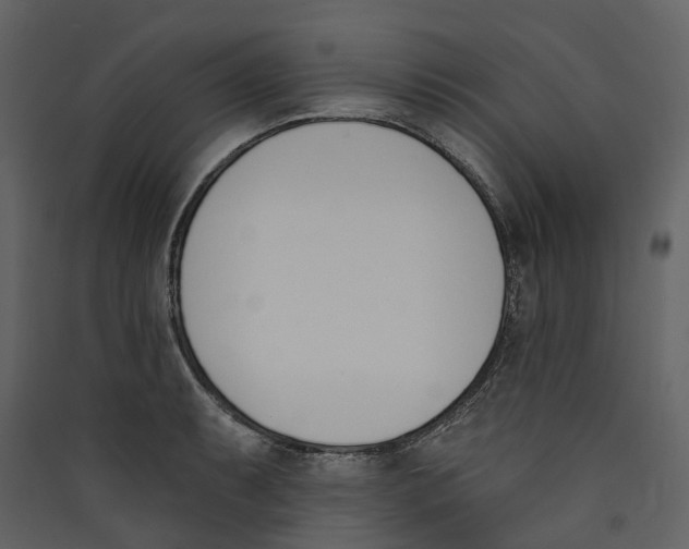 X0000089391087200707131714