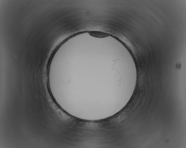 X0000089391088200707131714