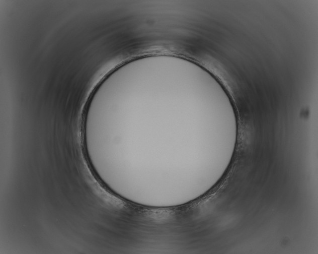 X0000089391090200707131714