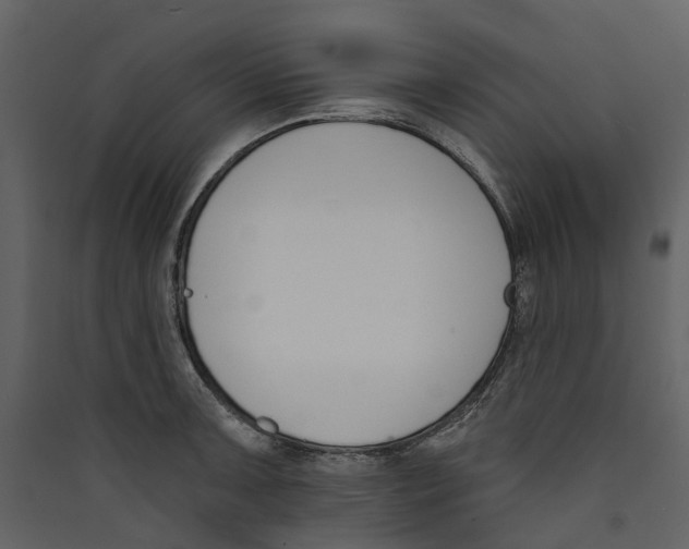 X0000089391091200707131714
