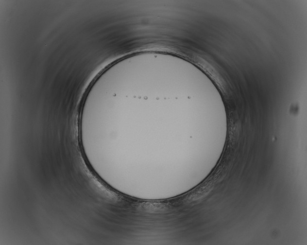 X0000089391092200707131714