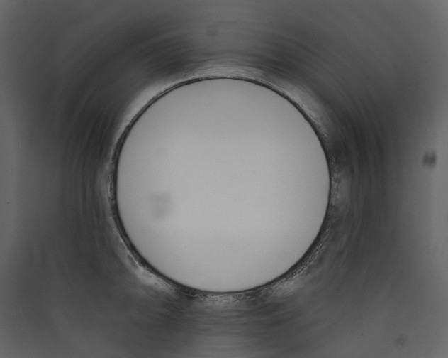 X0000089391094200707131714