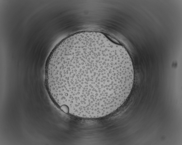 X0000089391095200707131714