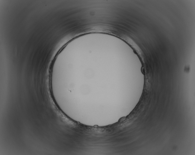 X0000089391096200707131714