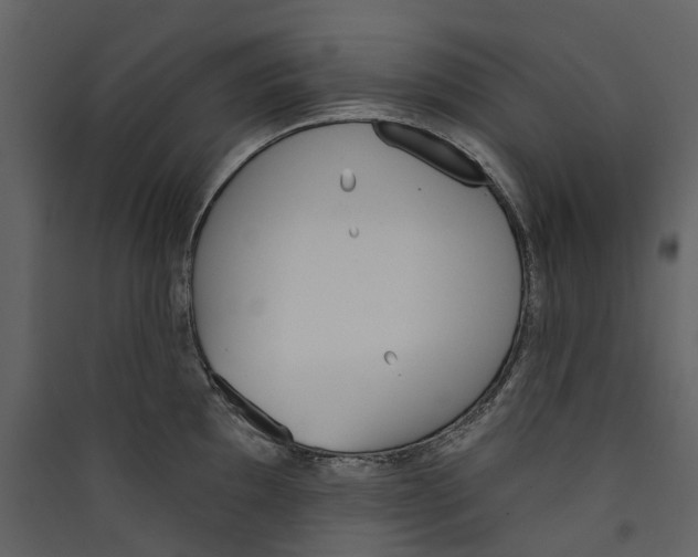 X0000089391097200707131714