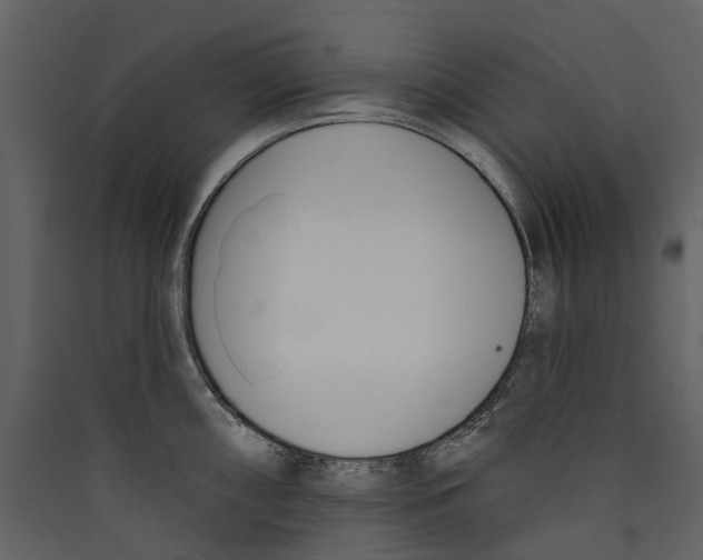 X0000089391098200707131714