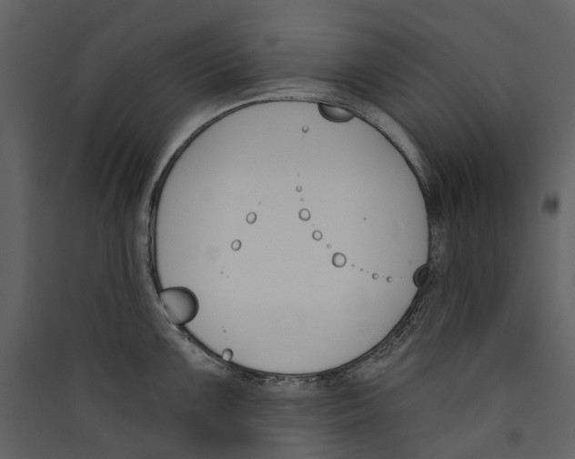 X0000089391099200707131714