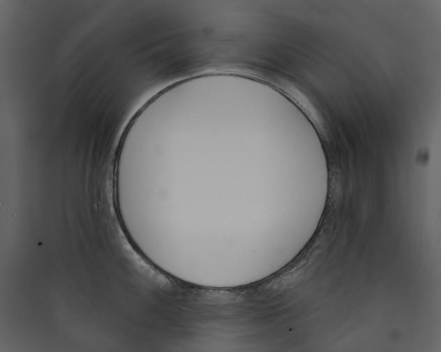 X0000089391100200707131714
