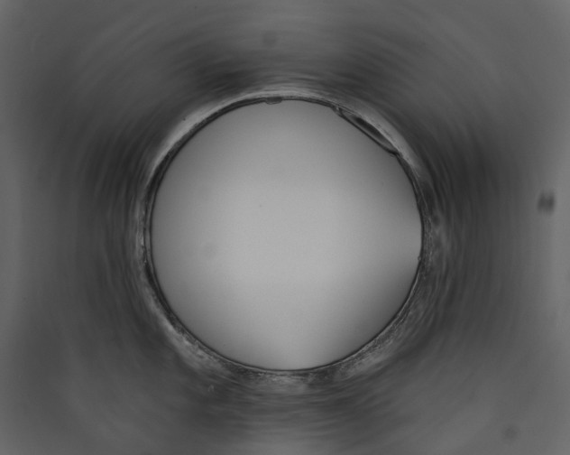 X0000089391101200707131714