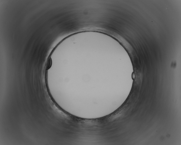 X0000089391102200707131714