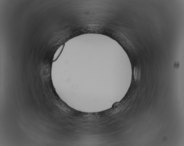 X0000089391107200707131713